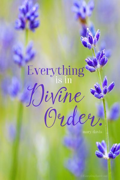 Divine Order